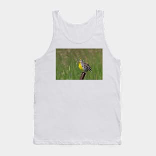 An Eastern Song - Eastern Meadowlark Tank Top